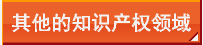 其他的知识产权领域
