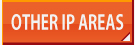 IP CONSULTATION