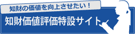 知財価値評価